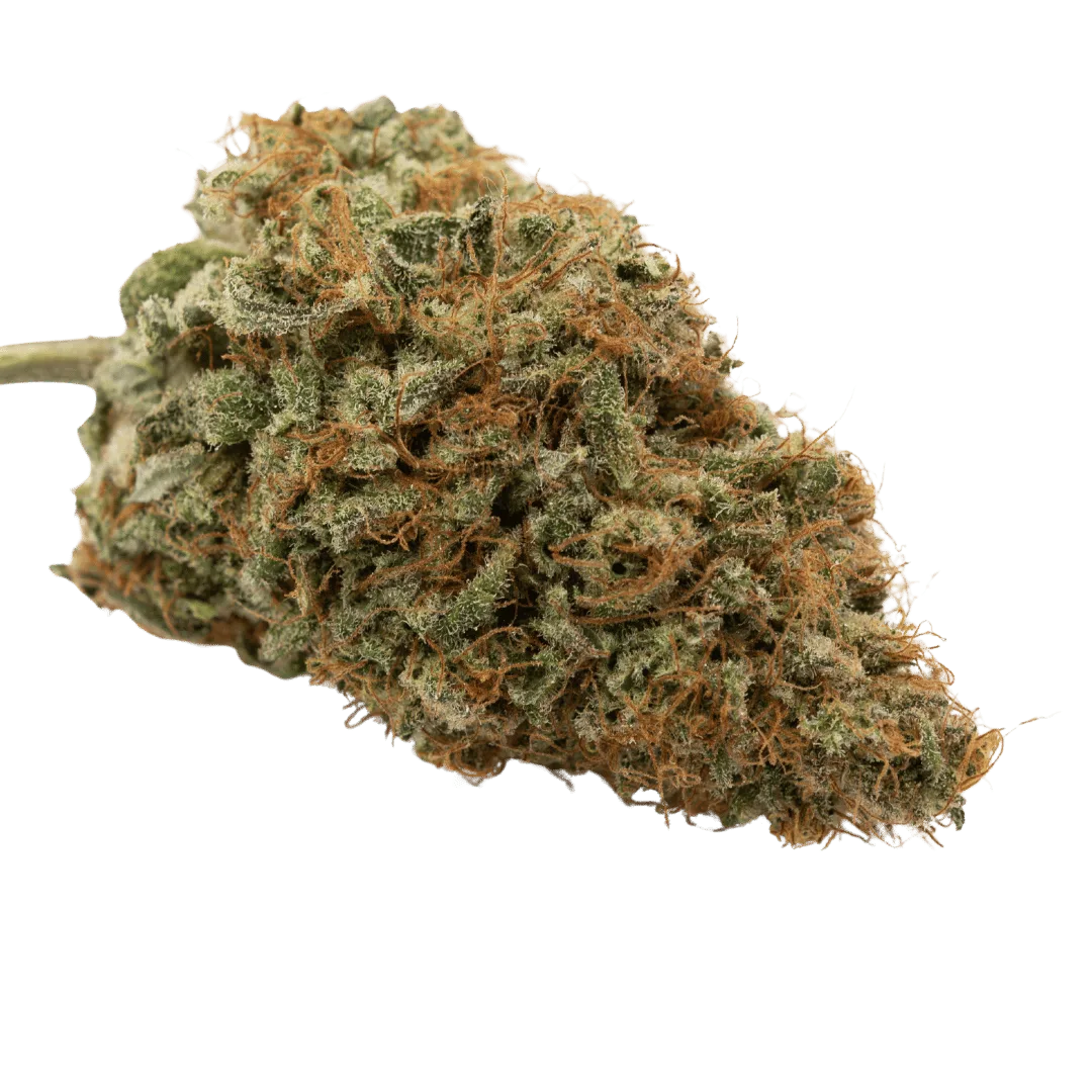 Sour Brulee CBD flowers Indoor 1g
