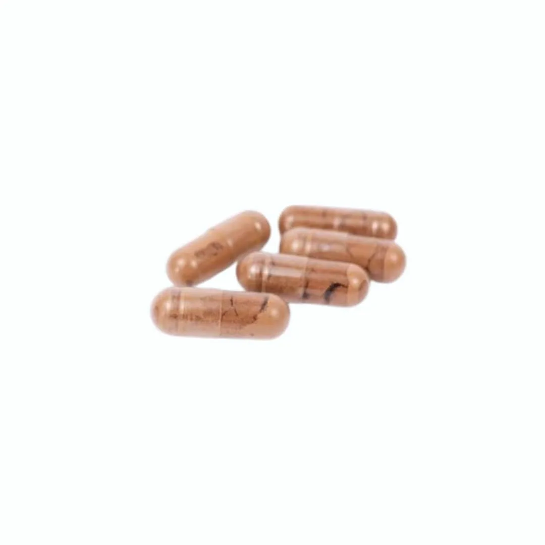 Zelená Země Reishi Capsules 60 pcs