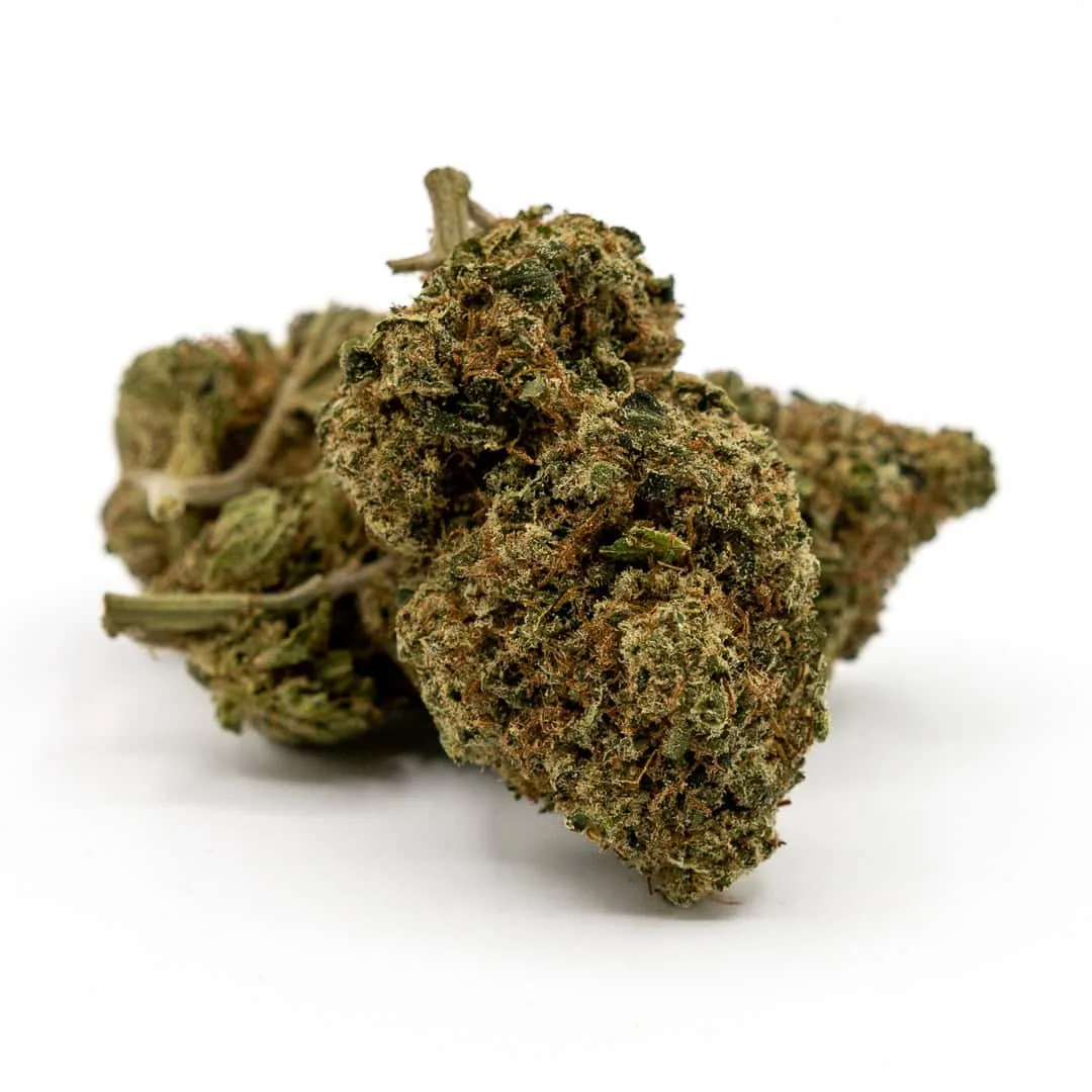 Jack Herer CBD HYBRID by CBDpredajňa