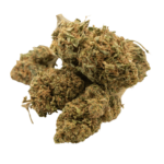 cali-kush-bulk-wholesale-hemp-export