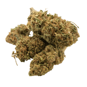 cali-kush-bulk-wholesale-hemp-export