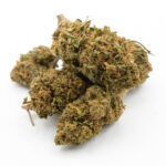 cali-kush-bulk-wholesale-hemp-export