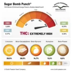 Sugar Bomb Punch FEM Dutch Passion, 3 seeds info