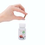 Zelená Země Reishi Capsules 60 pcs